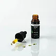 CBD Oil Gold 300 mg CBD 10 ml (3 %)