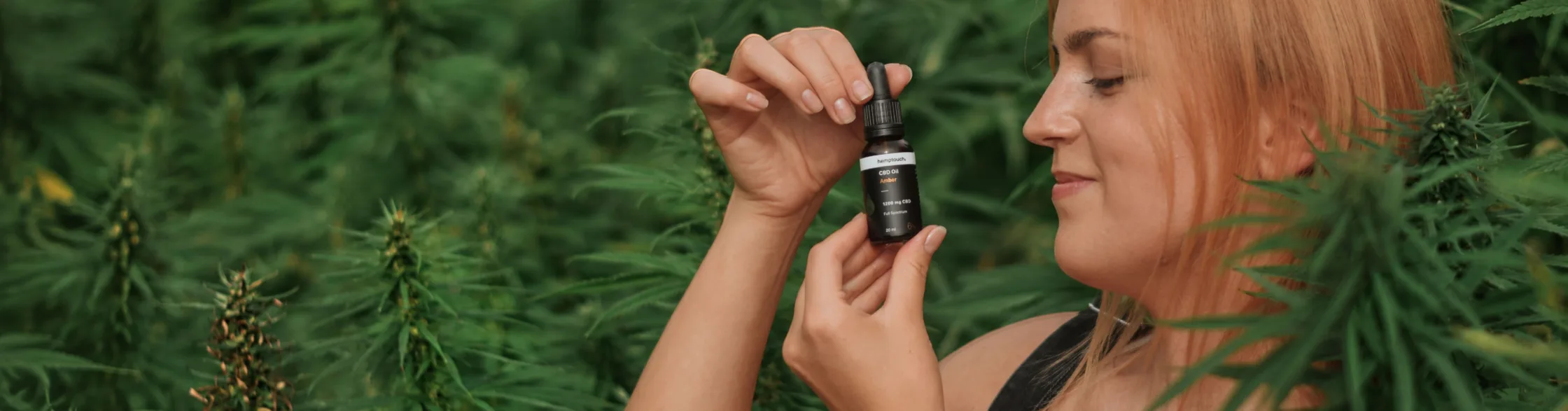 CBD ulja